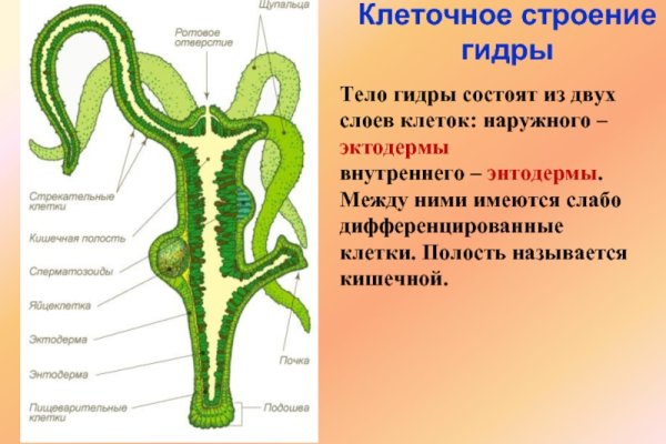 Kraken оригинальная ссылка